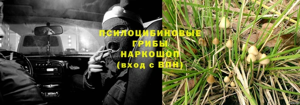 трава Аркадак