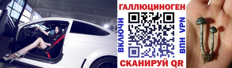 маркетплейс официальный сайт  Полысаево  Псилоцибиновые грибы Psilocybine cubensis 