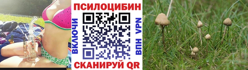 Псилоцибиновые грибы Magic Shrooms Полысаево